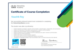 Networking Basics certificate