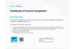 Network Addressing & Troubleshooting certificate